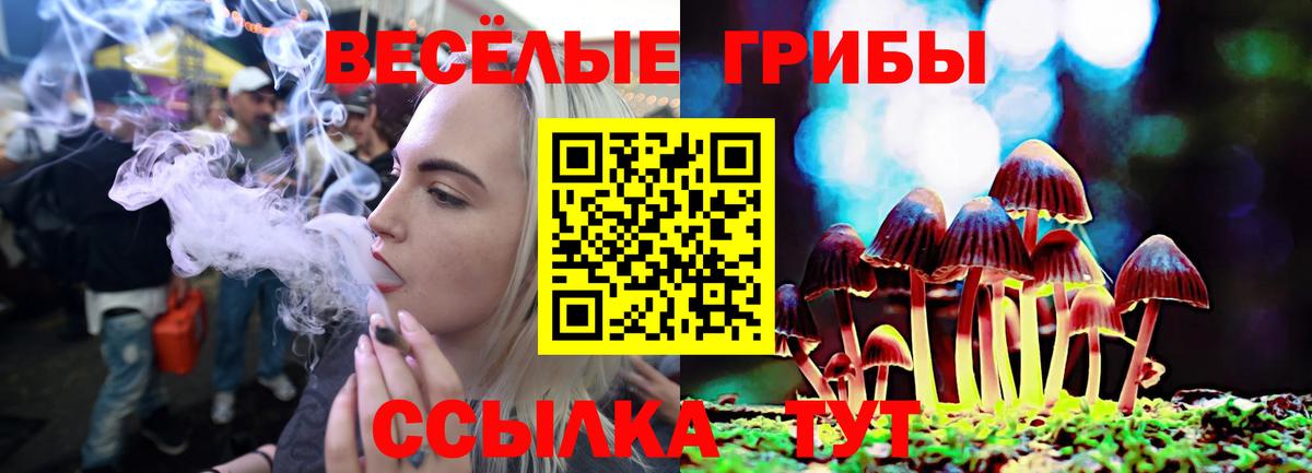Галлюциногенные грибы мухоморы Волжский