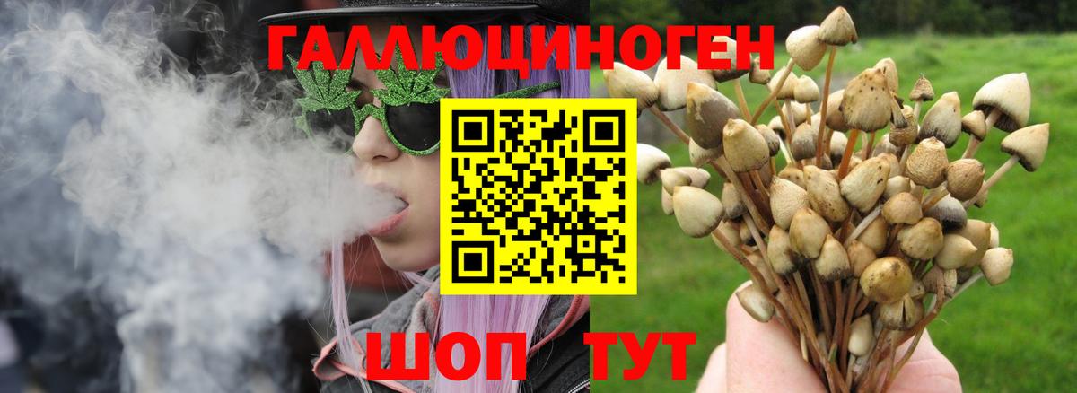 Псилоцибиновые грибы мицелий  Вход с VPN  Волжский 